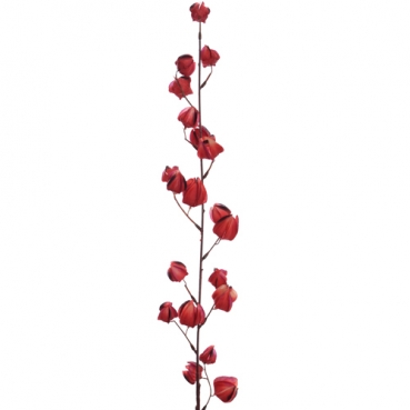 Kunstblume, Deko Zweig Physalis, Lampionblume in Rot, 88 cm