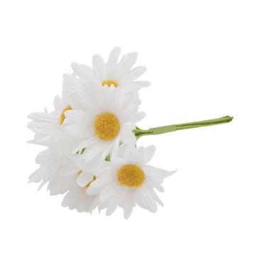 Kleines Deko Margeriten Bündel in Weiß, 12 cm Kleines Deko Margeriten Bündel in Weiß, 12 cm.