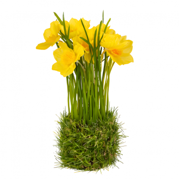 Kunstblume Narzissen-Bündel mit Grasverzierung, in Gelb, 20 cm