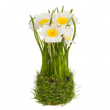 Kunstblume Narzissen-Bündel mit Grasverzierung, in Weiß, 20 cm