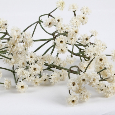 Kunstblume Schleierkraut, hochwertig, in Weiß, 60 cm Nahaufnahme von der Kunstblume Schleierkraut, hochwertig, in Weiß, 60 cm