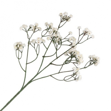 Kunstblume Schleierkraut, hochwertig, in Weiß, 60 cm Kunstblume Schleierkraut, hochwertig, in Weiß, 60 cm.