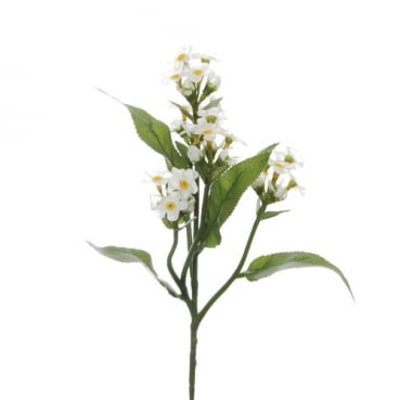 Kunstblume Vergissmeinnicht in Creme-Weiß, 24 cm