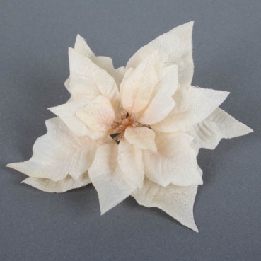 Kunstblume Weihnachtsstern mit Clip in Creme glitzernd, 17 cm