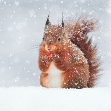 20er Pack Servietten Eichhörnchen im Schnee, 33 x 33 cm