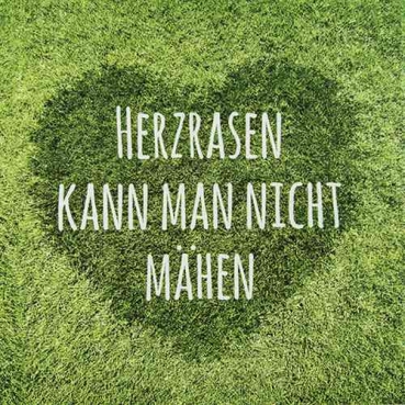 20er Pack Servietten Herzrasen in Grün, 33 x 33 cm