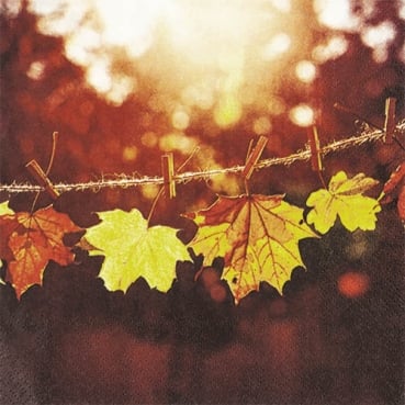 20er Pack Servietten Herbst, Ahornblätter im Sonnenlicht, 33 x 33 cm