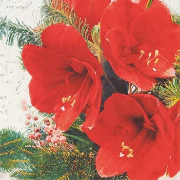 20er Pack Servietten Rote Amaryllis, Weihnachten, 33 x 33 cm