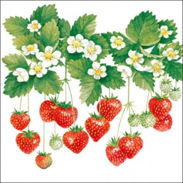 20er Pack Servietten Erdbeeren, 33 x 33 cm