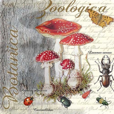 20er Pack Servietten Herbst, Fliegenpilze, Käfer, 33 x 33 cm
