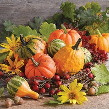 20er Pack Servietten Herbst Kürbisse, 33 x 33 cm