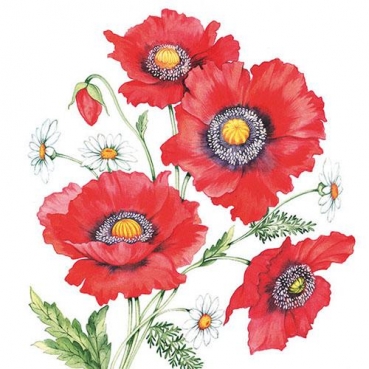 20er Pack Servietten Mohnblumen und Bellis, 33 x 33 cm