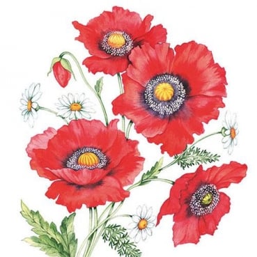 20er Pack Servietten Mohnblumen und Margeriten, 33 x 33 cm
