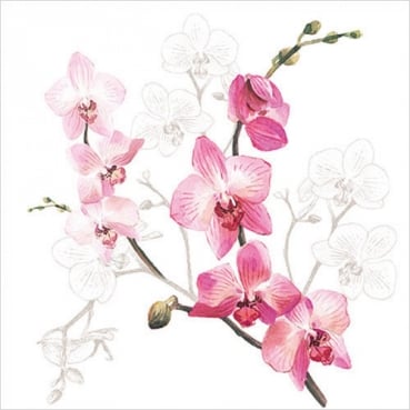 20er Pack Servietten Orchidee in Pink/Weiß, 33 x 33 cm