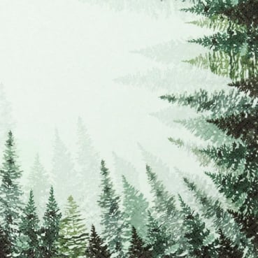 20er Pack Servietten Tannnenwald in Grün, 33 x 33 cm