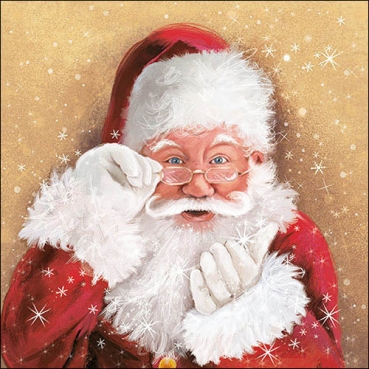 20er Pack Servietten Zauberhafter Weihnachtsmann, 33 x 33 cm