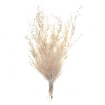 Kleines Naturdeko Pampasgras Bündel, getrocknet, 20 cm