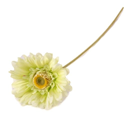 Kunstblume Gerbera in Hellgrün, 55 cm