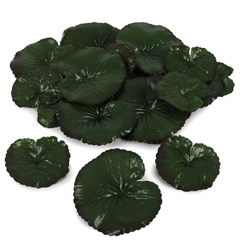 24 kleine Seerosen, Lotus Blätter in Grün