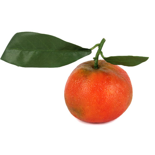 Deko Mandarine mit Blatt, 70 mm.