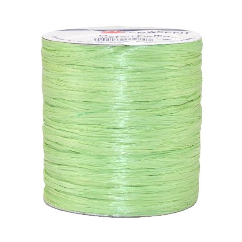 100 m Bastband Rayon Raffia matt in Pistazie