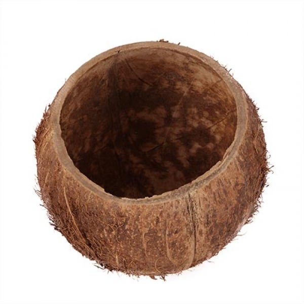 Naturdeko Kokosnuss Schale