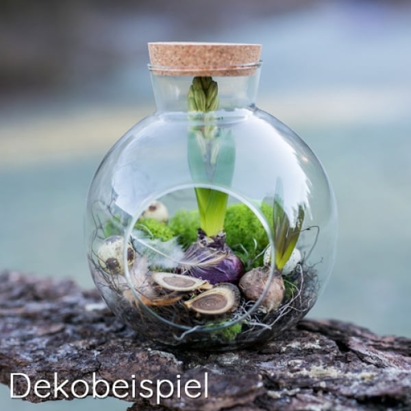 Deko Glasflasche mit Korken, oval, 18 cm