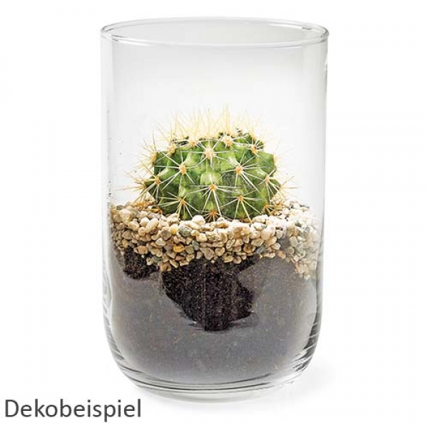 Dekobeispiel Glas Windlicht, Vase Zylinder, klar, 21 cm.