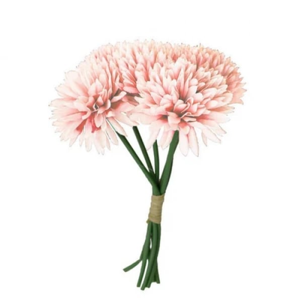 6er Bund Dahlien in Peach, 24 cm.