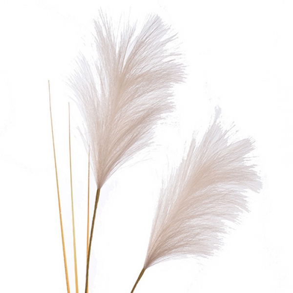 Deko Kunst Pampasgras Wedel in Creme, 69 cm.
