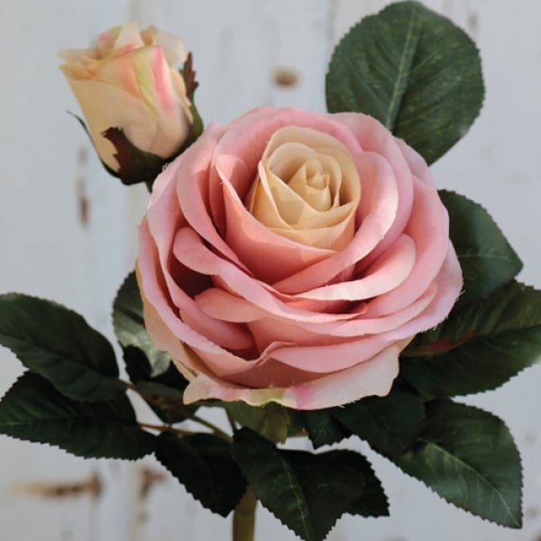 Kunstblume Rose mit Knospe in Creme/Rosa, Rosenkopf: ca. 90 mm, Länge: ca. 25 cm.