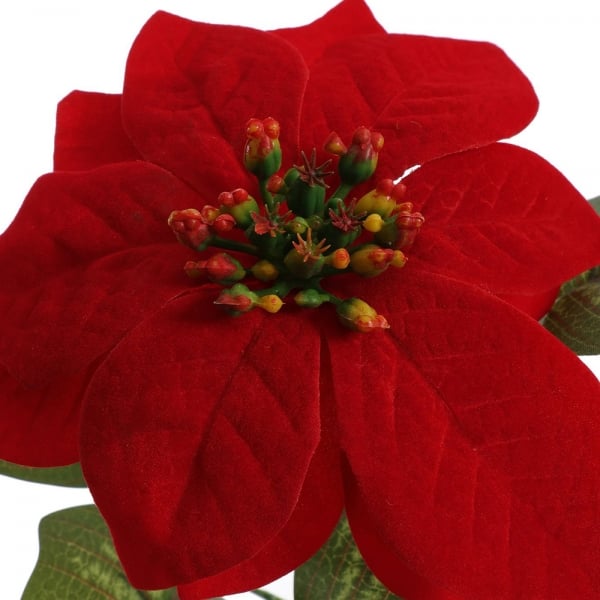 Nahaufnahme von der Kunstblume Weihnachtsstern, samtige Oberfläche in Rot, 55 cm.