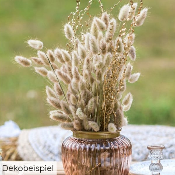 Dekobeispiel mit dem Naturdeko Samtgras, Lagurus Bund, getrocknet, 55 cm.
