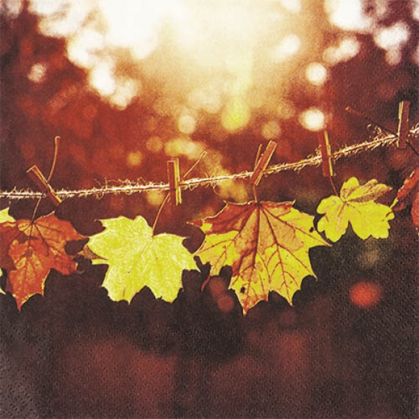20er Pack Servietten Herbst, Ahornblätter im Sonnenlicht, 33 x 33 cm.
