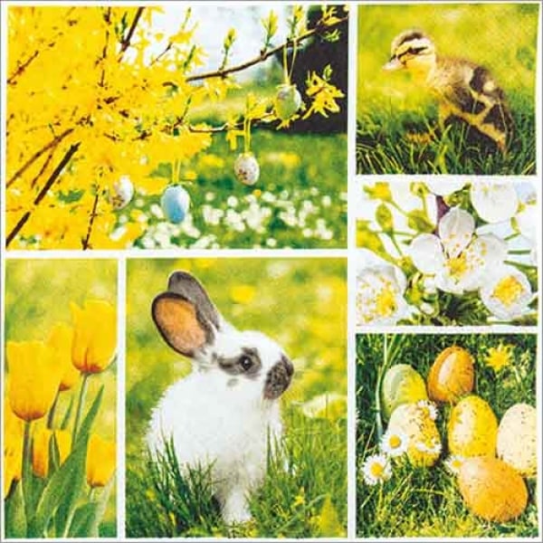 20er Pack Servietten Oster Collage in Gelb/Grün, 33 x 33 cm.