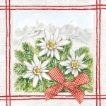 20er Pack Servietten Edelweiß in Rot 33 x 33 cm