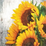 20er Pack Servietten Sonnenblumen, 33 x 33 cm