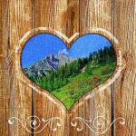 20er Pack Servietten Alpenland, 33 x 33 cm