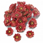 24er Pack Mohnblüten als Streudeko in Dunkelrot