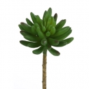 Kunstblume Sukkulente Haworthia, 16 cm