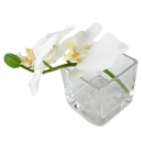 Vierkantglas mit Dekosteinen und Orchideenzweig in Weiß