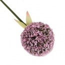 Kunstblume Allium mit großer Blüte in Lila, 66 cm
