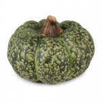 Keramik Kürbis Fombell in Dunkelgrün, 13 cm