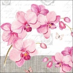 20er Pack Servietten Orchideen in Rosa, 33 x 33 cm