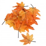 12 kleine Textil Ahornblätter, Herbst in Hellorange, 50 mm