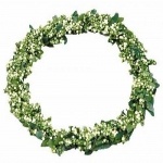 Buchs-Beeren Kranz