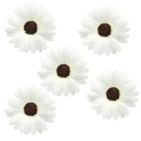 24 Streu Margeriten Köpfe in Wei&sz gallery