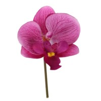 Kunst Orchideenblüten in Lila, 70 m gallery