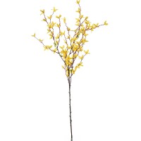 Kunstblume Forsythien-, Goldglöckch gallery