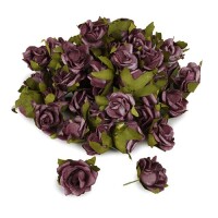 50 Rosenköpfe in Aubergine als Stre gallery
